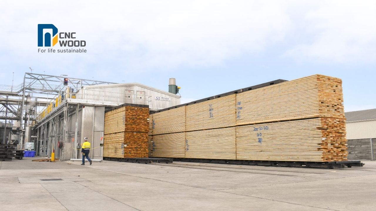 Các điều kiện quan trọng để xử lý biến tính gỗ hiệu quả