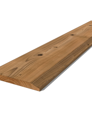 Ceiling Border 100x11