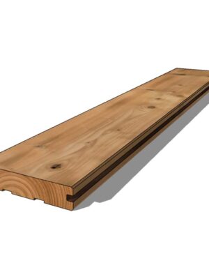 Deck 100x20