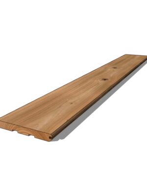 Ex-Plank 100x12