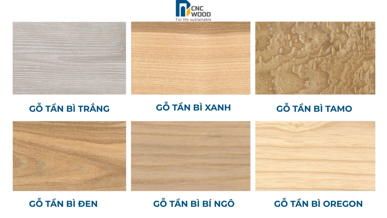 Các loại gỗ tần bì phổ biến 