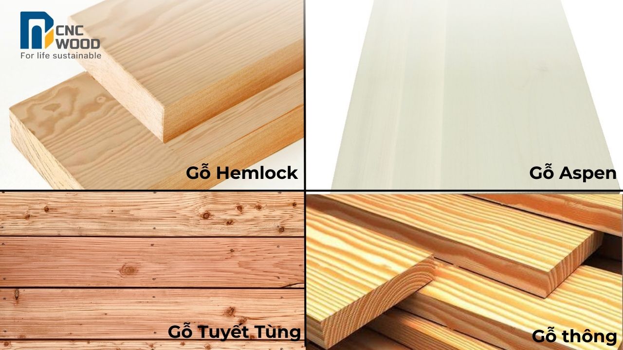 Một số loại gỗ lắp đặt sauna phổ biến