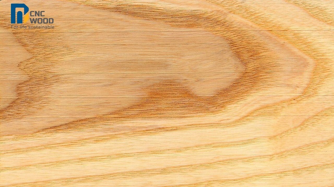 Ưu điểm và nhược điểm của gỗ tần bì